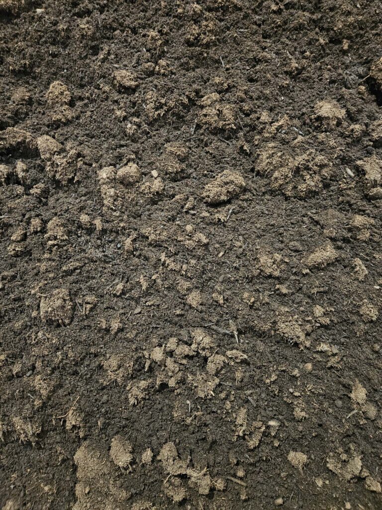 Aanplantgrond