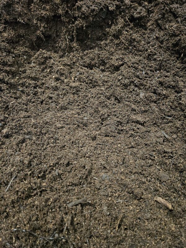 Aanplantgrond