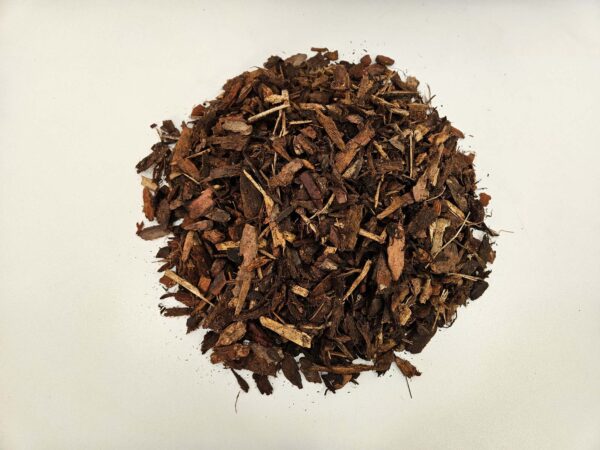 Pinus sylvestris 10/25