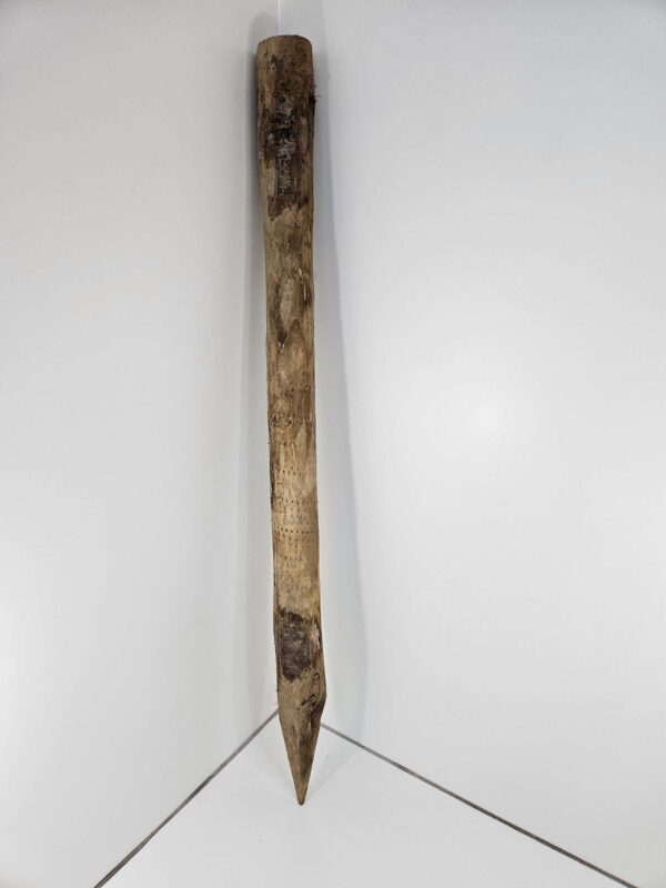 Kastanje paal