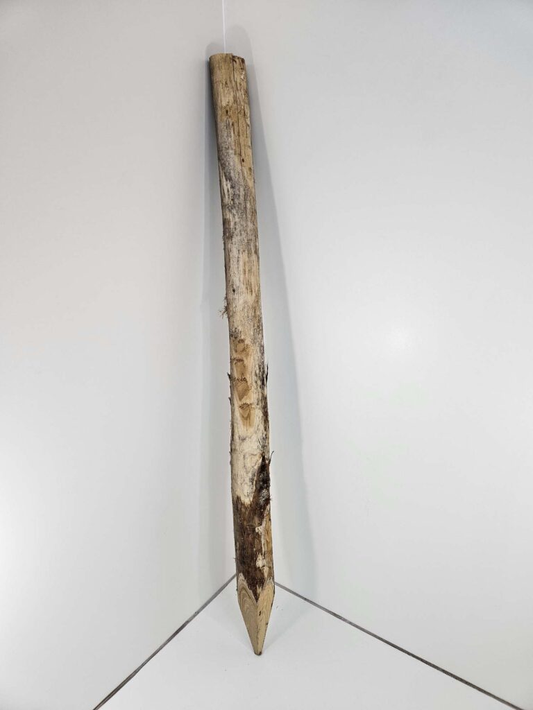 Kastanje paal