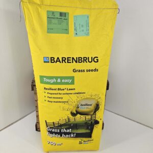 Resilient Blue Lawn Barenbrug