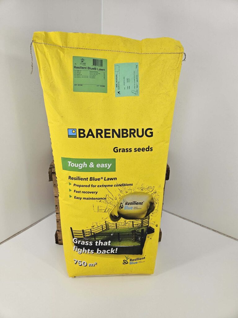 Resilient Blue Lawn Barenbrug