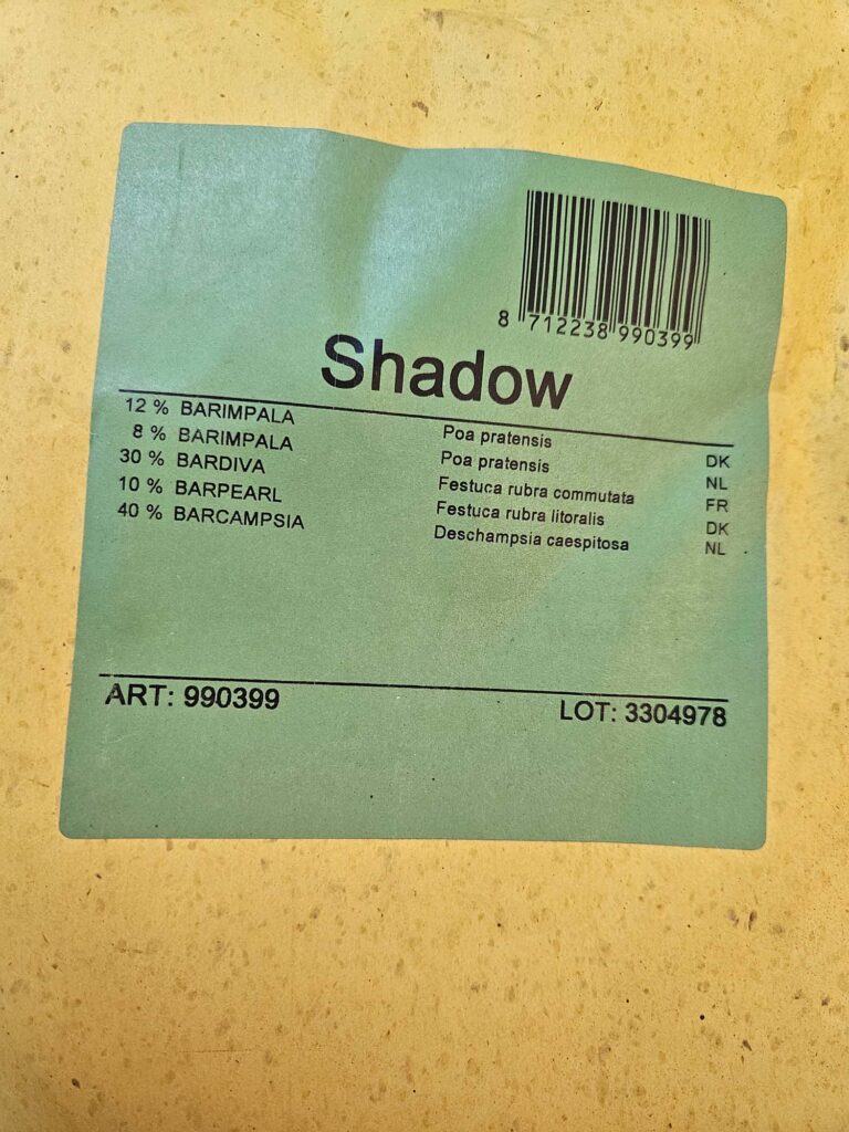 Shadow Barenbrug