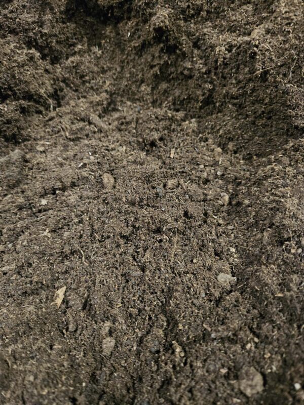 Turf - Afbeelding 2