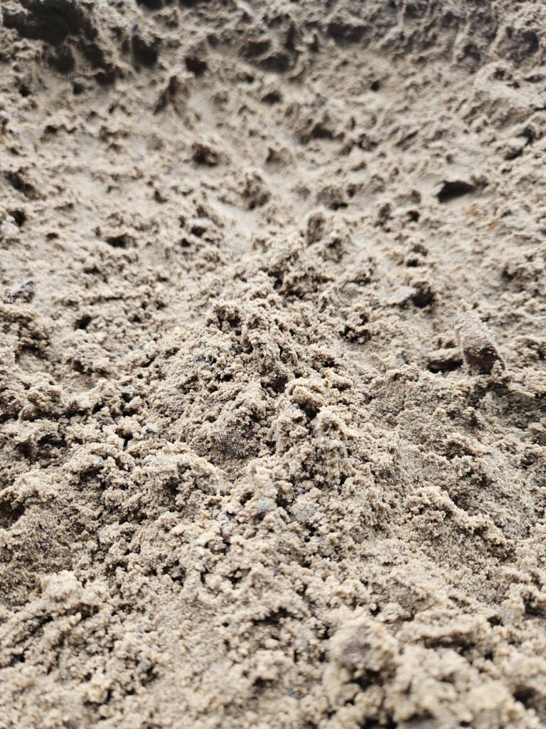 Zavel