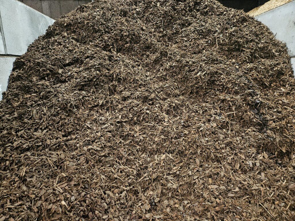 Pinus Maritima 25/40
