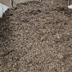 Pinus Sylvestris 25/40