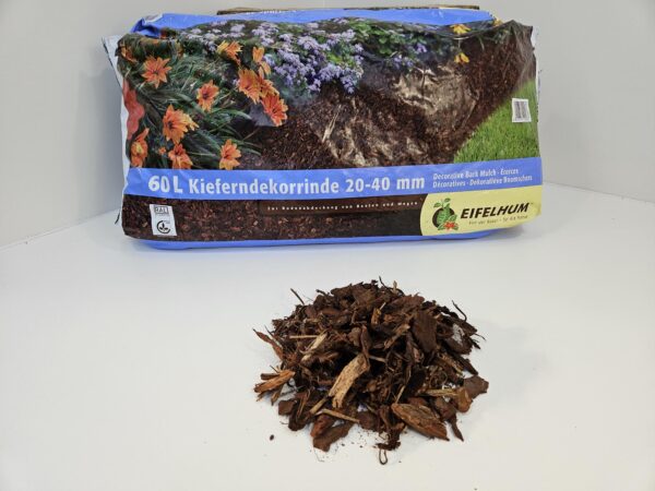 Pinus Sylvestris 20/40