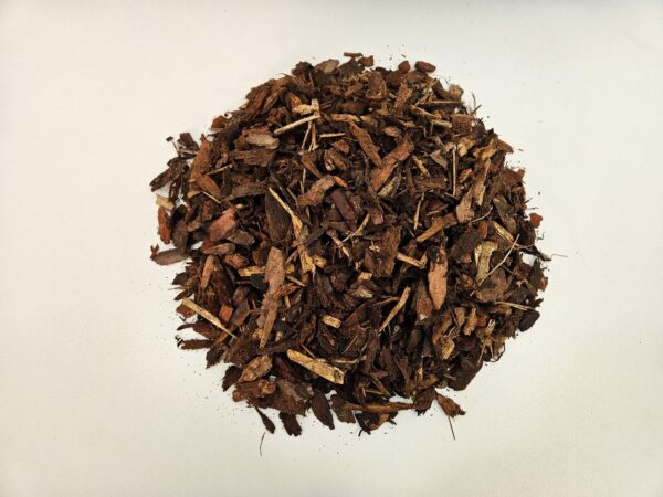 Pinus sylvestris 10/25