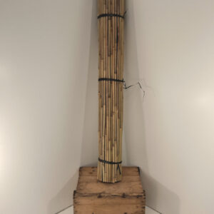 Bamboestokken 153 - 16/18   100st